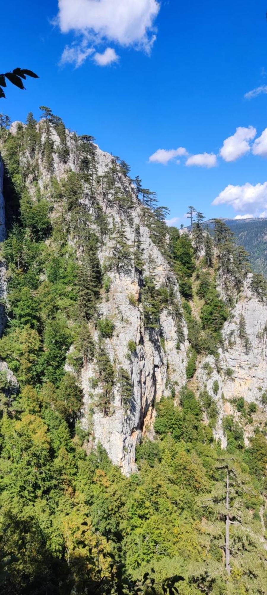 Weekend House In The Piva Nature Park Pluzine Exterior photo