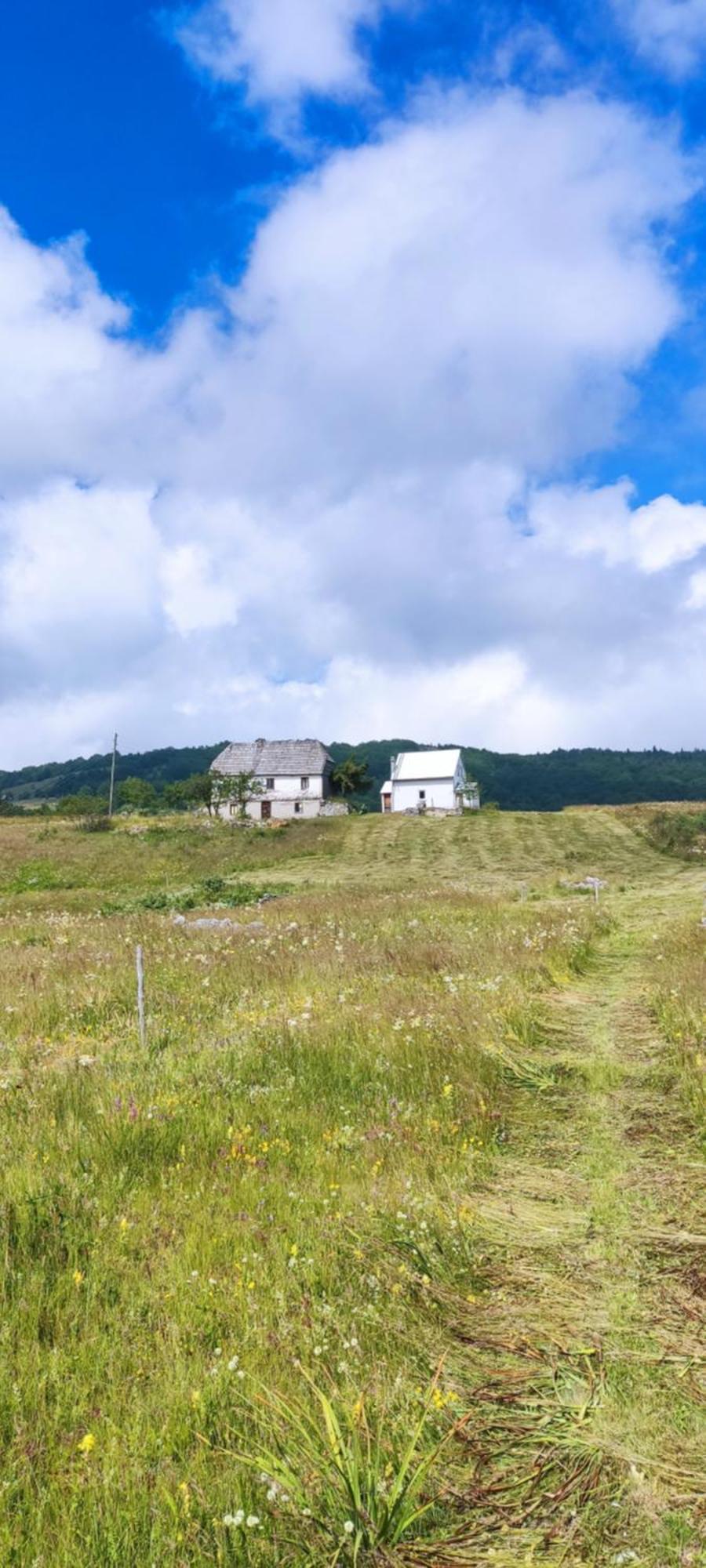 Weekend House In The Piva Nature Park Pluzine Exterior photo